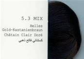 Couleur ELGON Get The Color CHATAIN CLAIR DORE&#769; 5.3 MIX