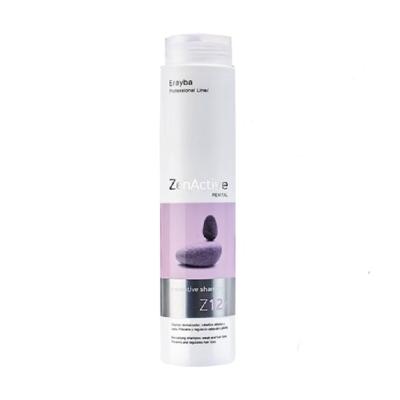 ERAYBA Zen active Z12R shampoing revitalisant