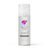 Bombe de paillette argent glitter 125ml